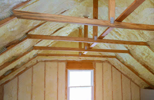 Best Geographic-Specific Insulation Services in Independence, LA