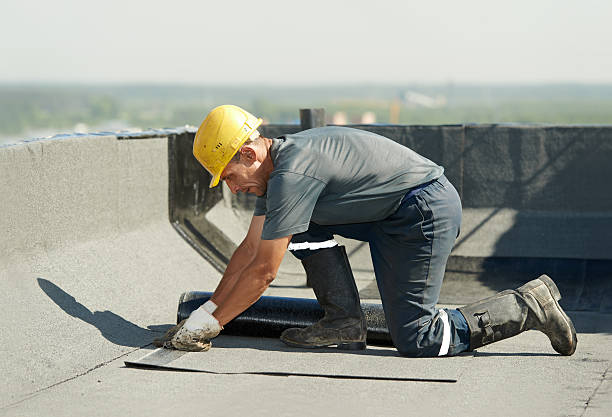 Best Cellulose Insulation in Independence, LA