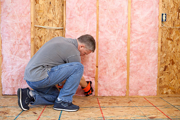 Best Spray Foam Insulation in Independence, LA