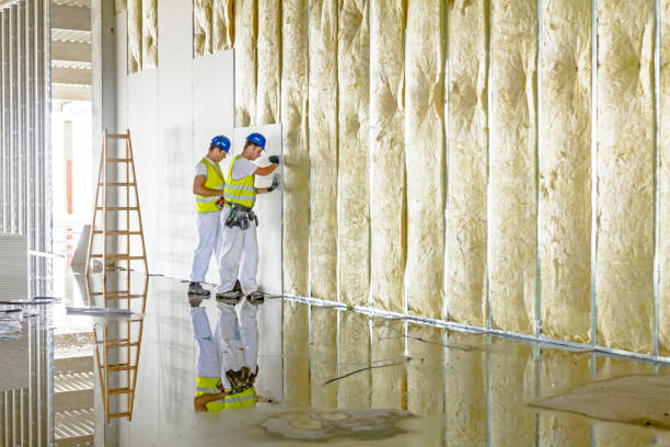 Types of Insulation We Offer in Independence, LA